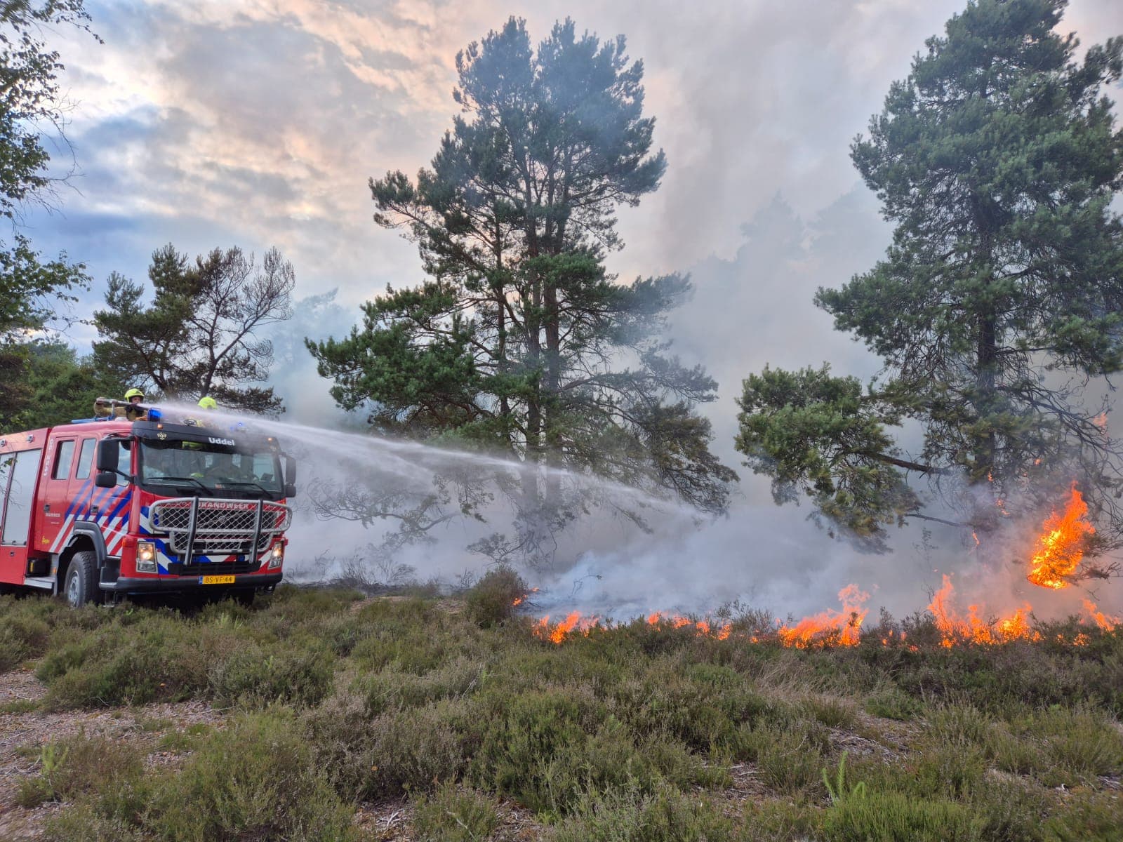 P1 Brand bos (uitbr.: hoog) Elspeterbosweg Vierhouten