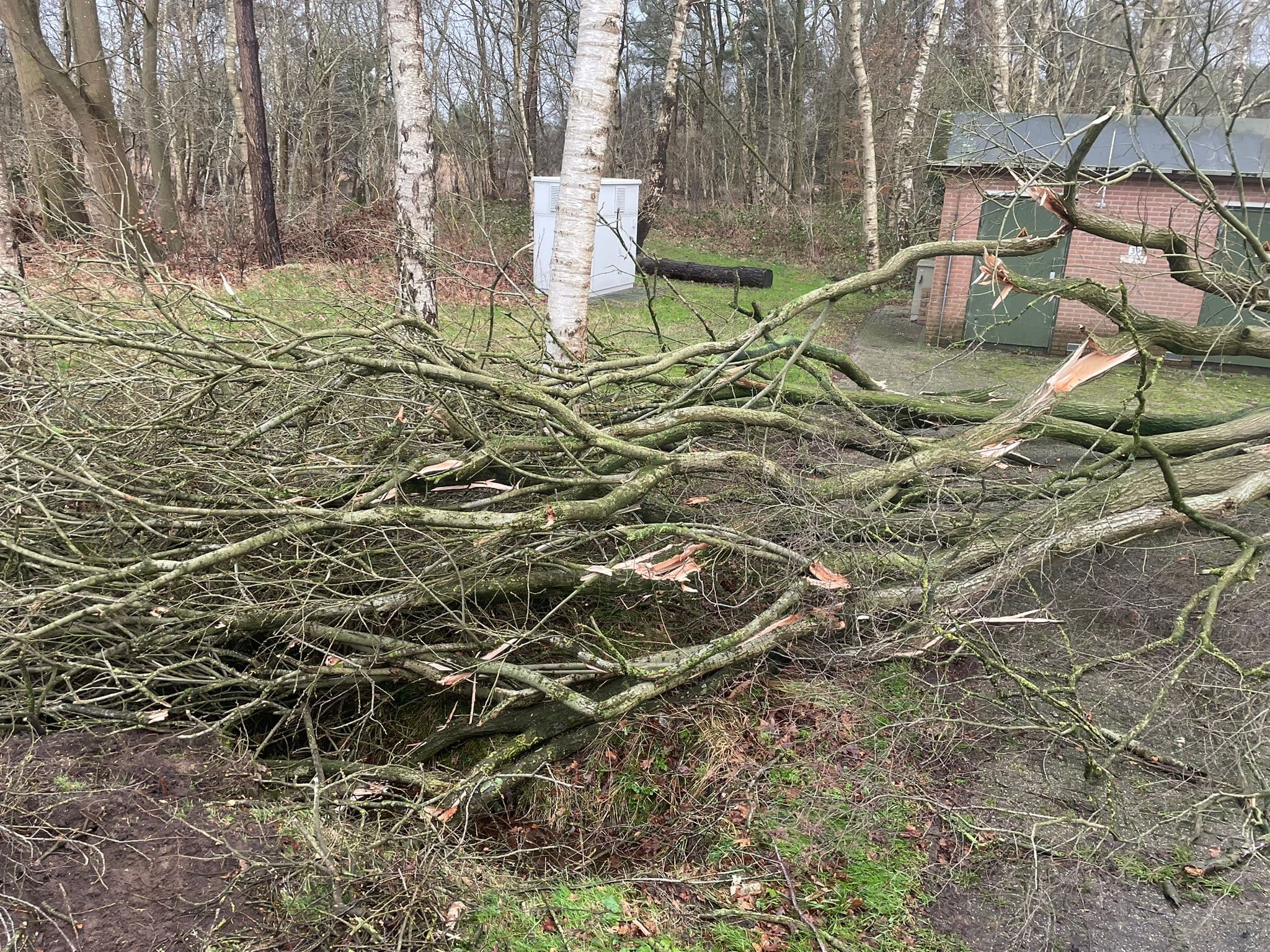 P2 Stormschade Gaderenseweg Ermelo📷