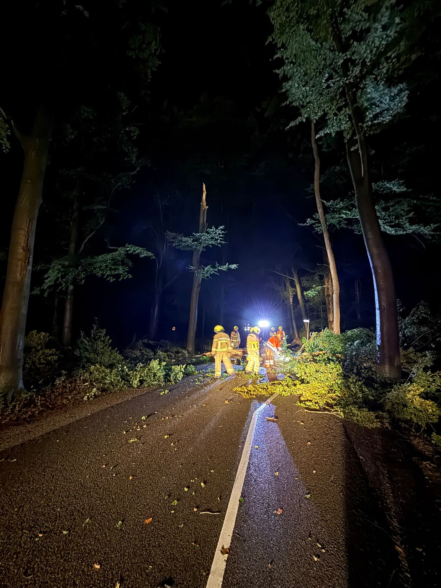 P2 Stormschade Uddelermeerweg Ermelo