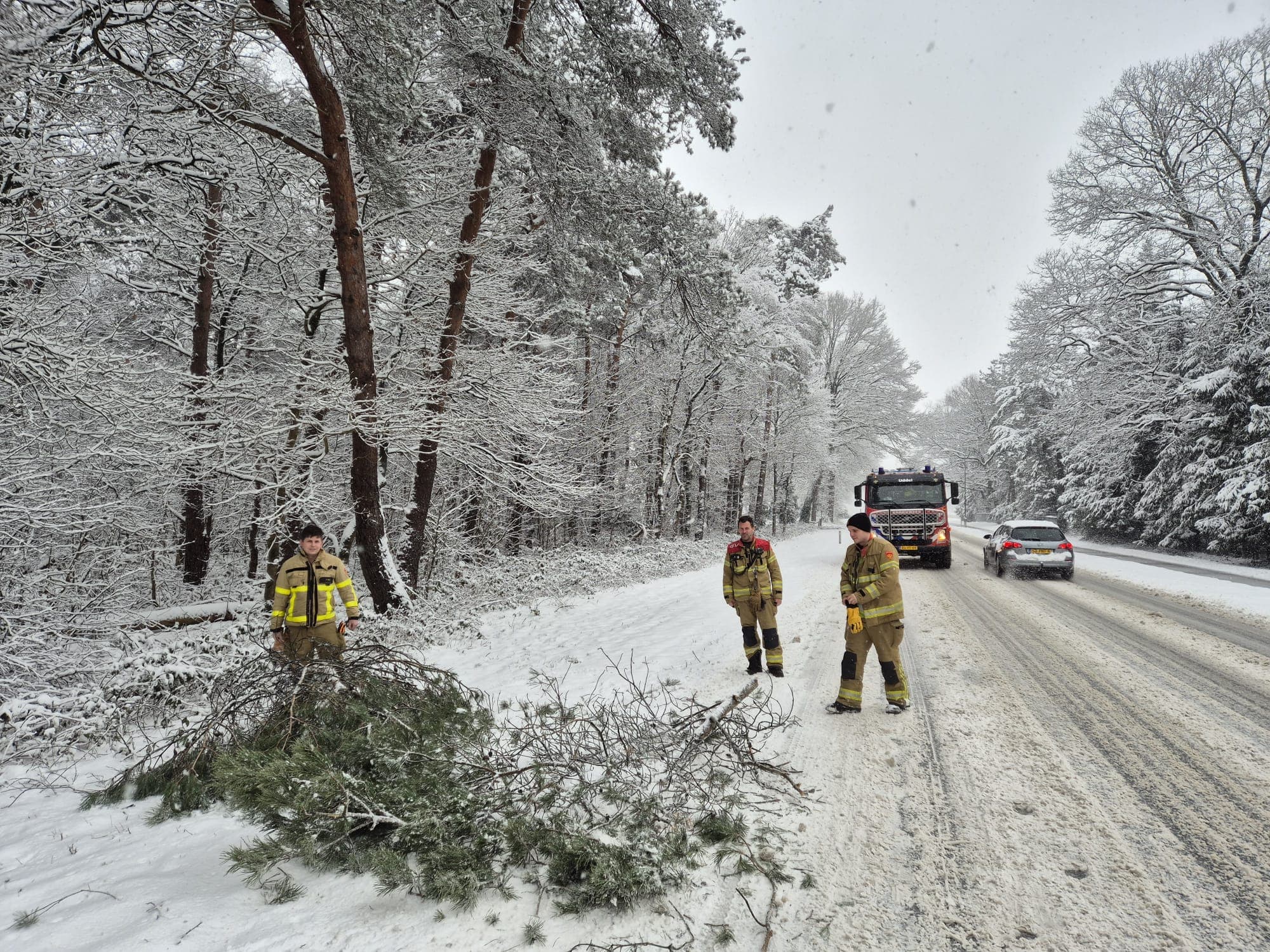 P2 Stormschade N302 Meervelderweg Uddel
