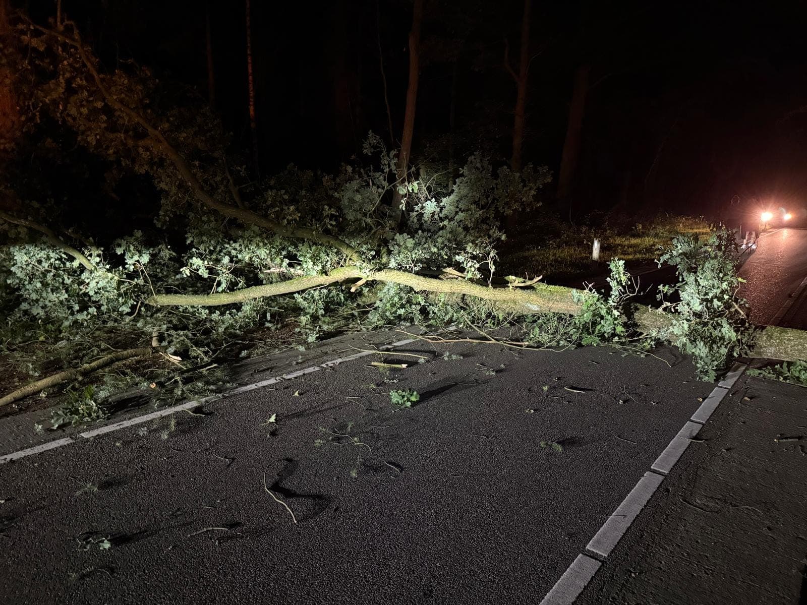 P2 Stormschade De Beek Ermelo