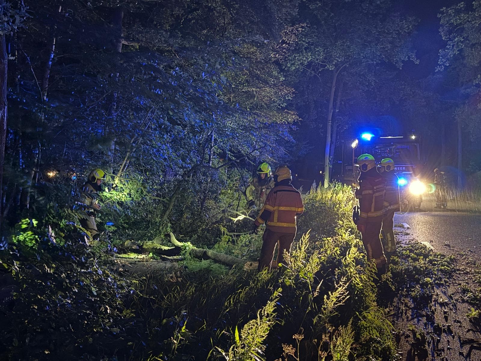 P2 stormschade Garderenseweg Uddel
