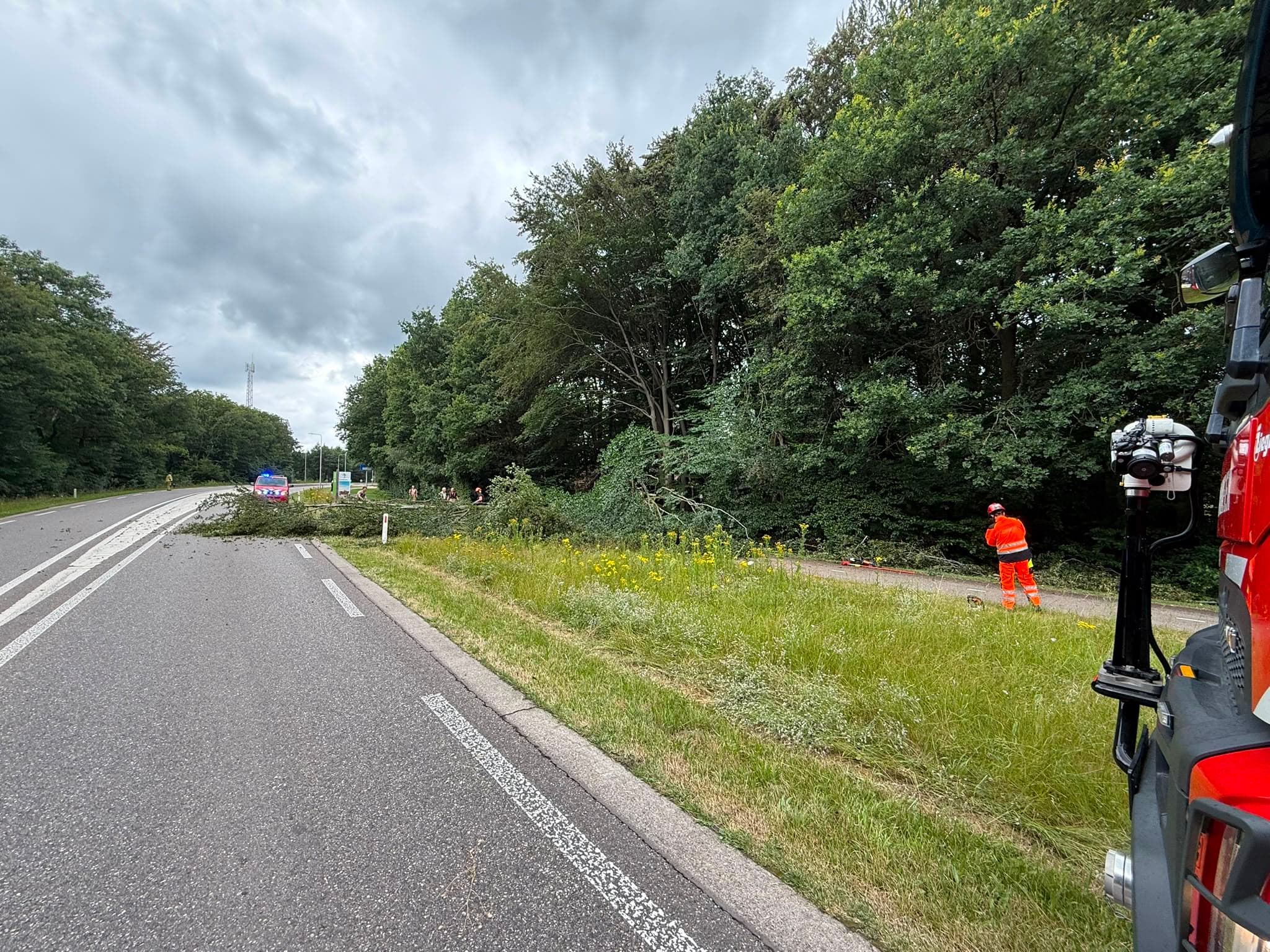 P2 Stormschade N310 Garderenseweg Ermelo