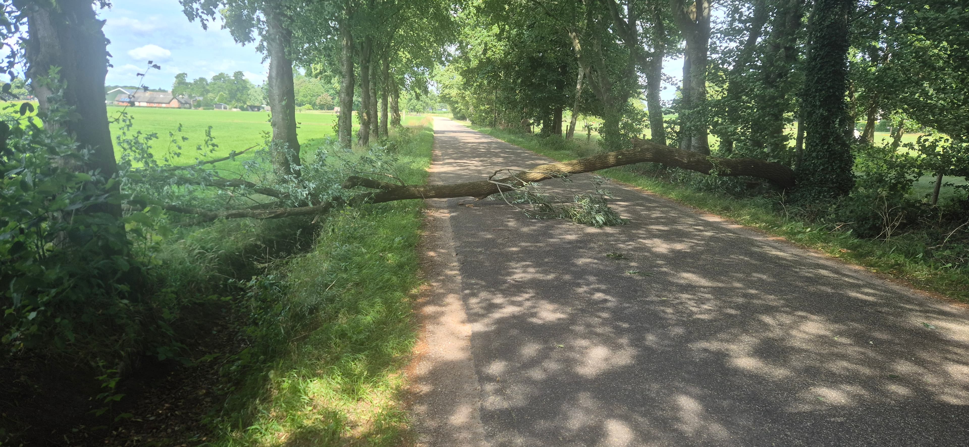 P2 Stormschade Harderwijkerweg Uddel