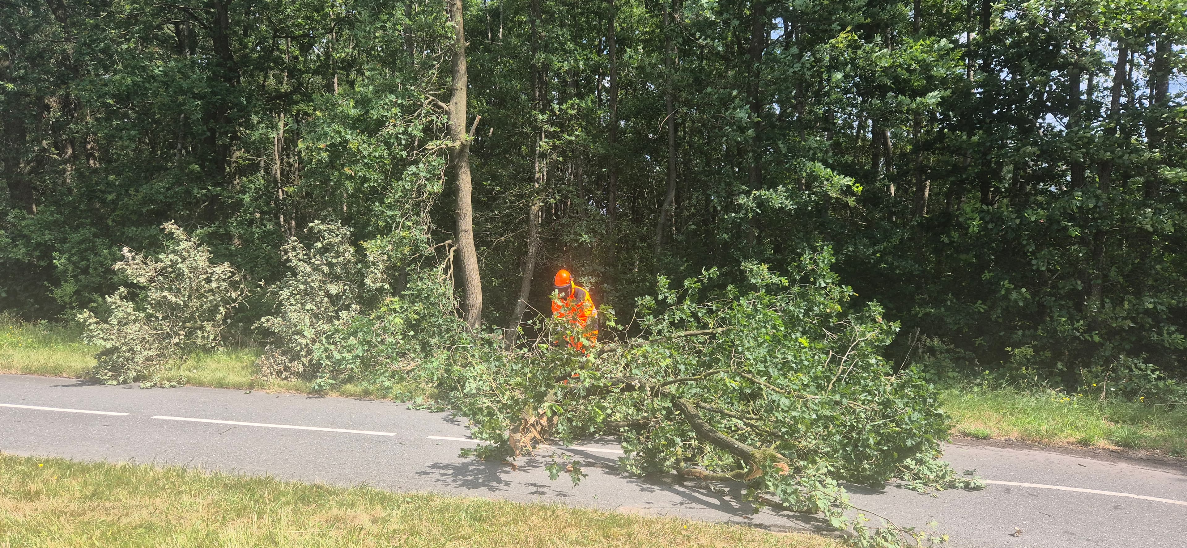 P2 Stormschade N302 Flevoweg Ermelo