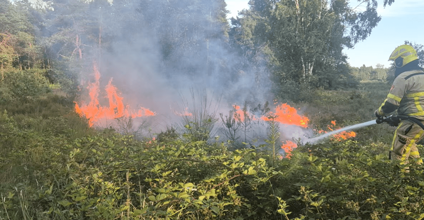 P1 Brand heide (uitbr. : normaal) N310 Uddelerweg Elspeet