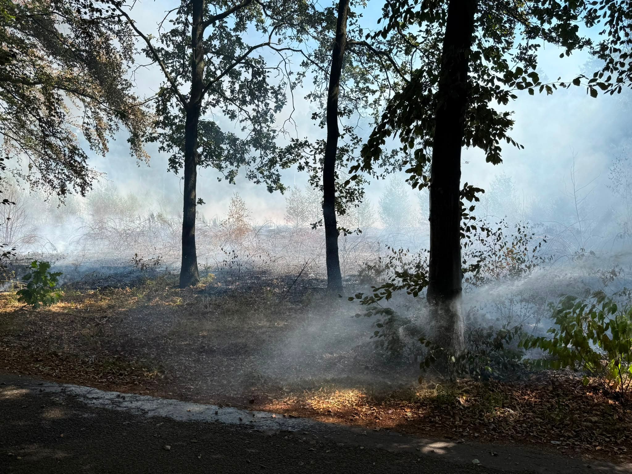 P1 Brand Bos Staverhul Uddel