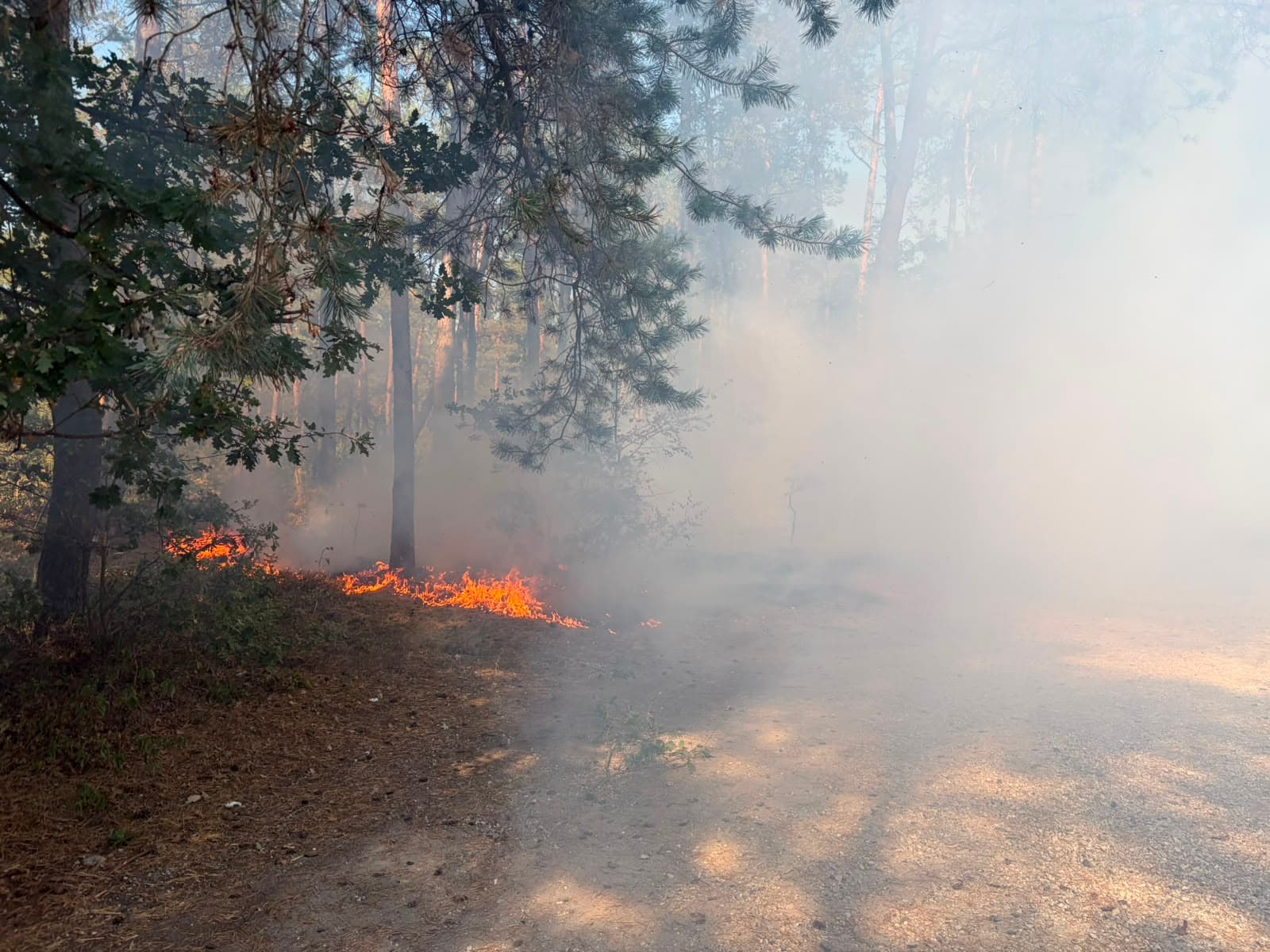P1 Brand Heide (Uitbr.: hoog) Aardhuisweg Uddel