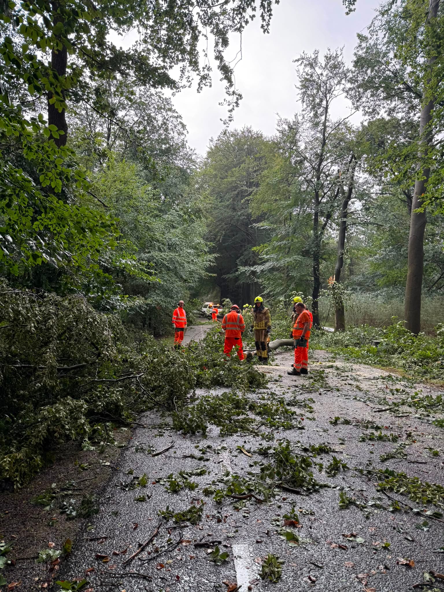 P2 Stormschade Aardhuisweg Uddel
